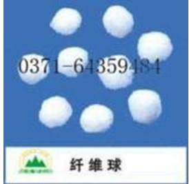 �����w�S��