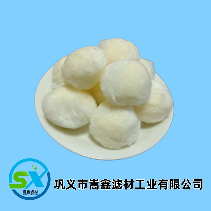 �����w�S��